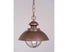 Vaxcel Harwich 10 Inch Outdoor Pendant Model: OD21506BBZ